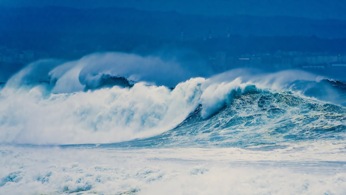 亚星官网